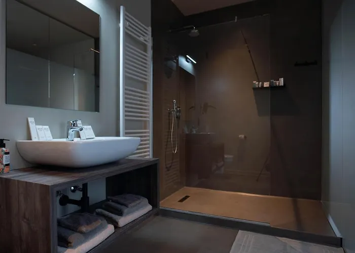 فندق مبيت وإفطار 't Ponton 4*