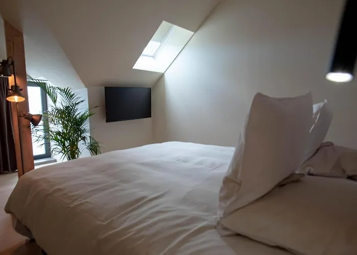 't Ponton Bed & Breakfast Nieuwpoort